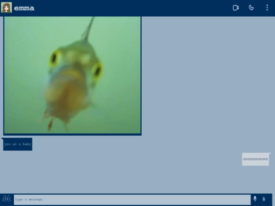 chats/emmam screenshot