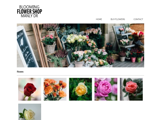 buyflowers screenshot