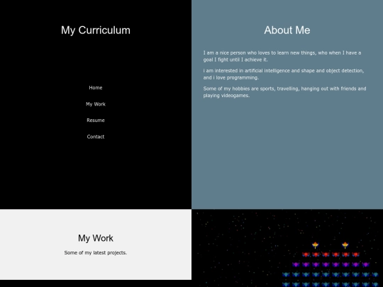 CV/curriculum screenshot
