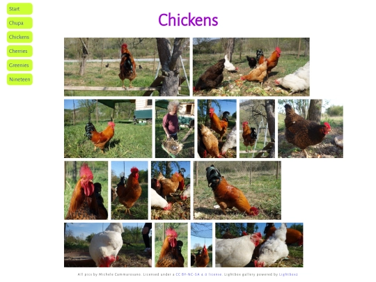 pics/chickens screenshot