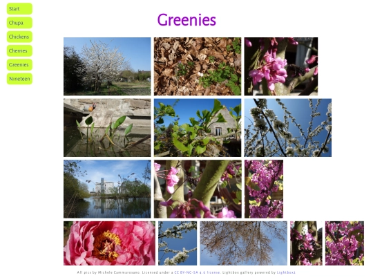 pics/greenies screenshot
