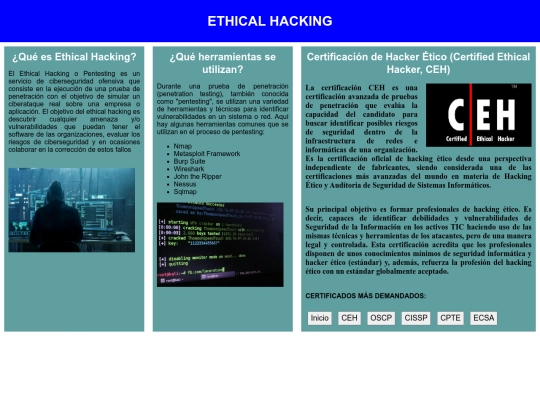 Flex-Box/CEHindex screenshot