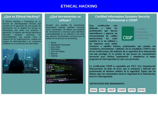Flex-Box/CISSPindex screenshot