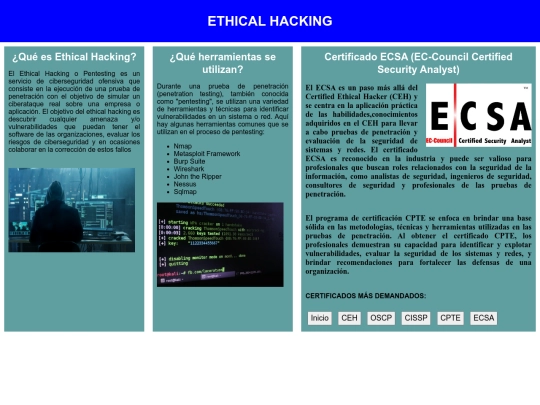 Flex-Box/ECSAindex screenshot