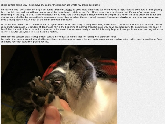 fur screenshot