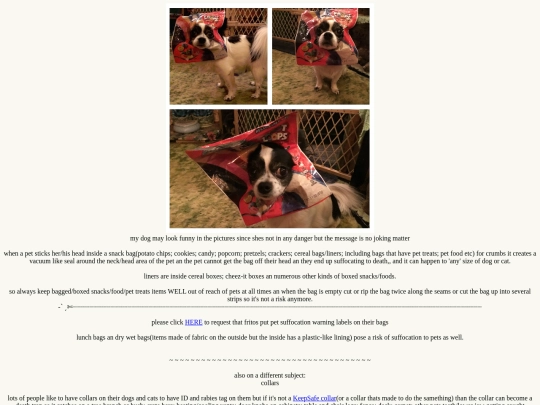 page screenshot