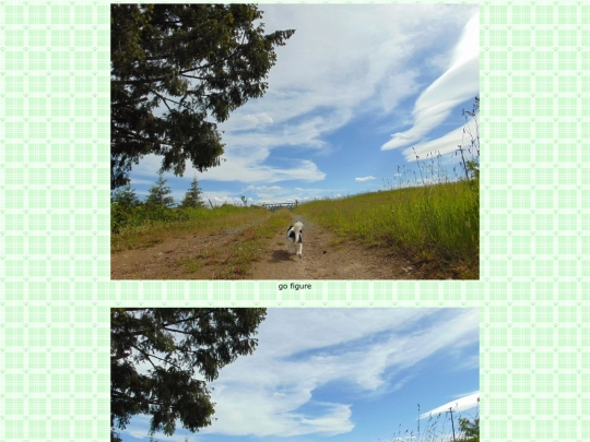 page105 screenshot