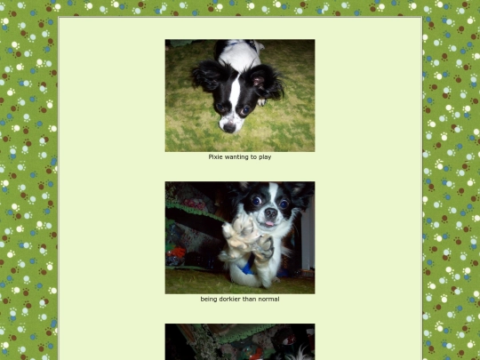 page11 screenshot