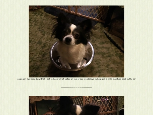 page115 screenshot