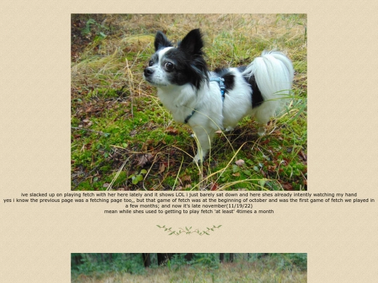 page118 screenshot