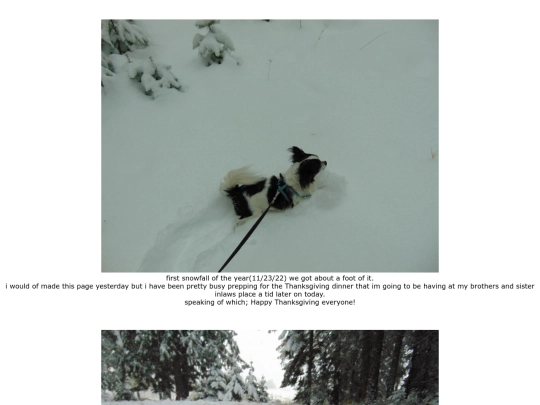 page119 screenshot
