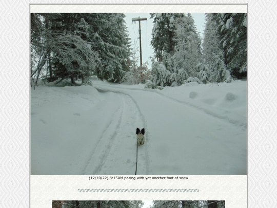 page121 screenshot
