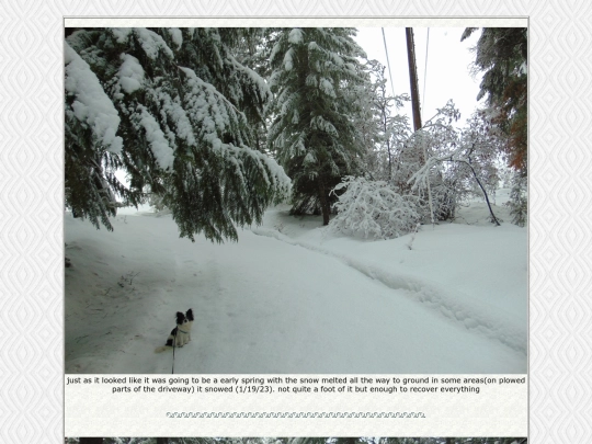 page127 screenshot