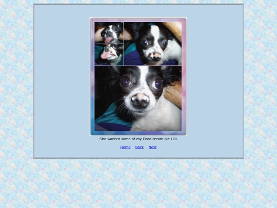 page13 screenshot
