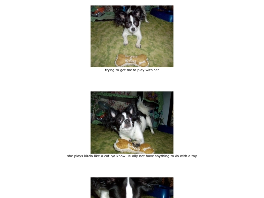 page14 screenshot