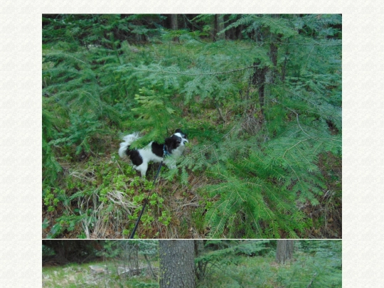 page140 screenshot