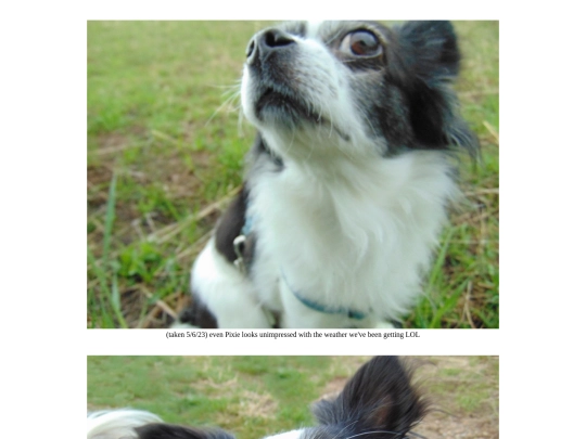 page141 screenshot