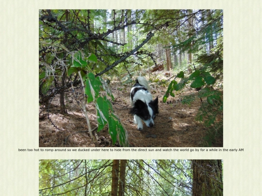 page149 screenshot