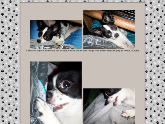 page15 screenshot