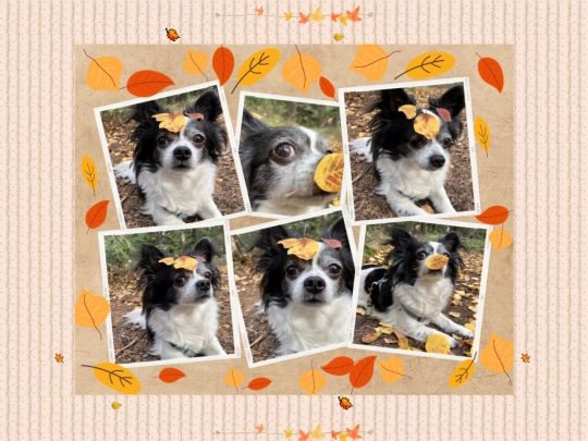 page153 screenshot