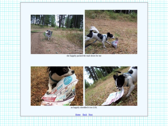 page16 screenshot