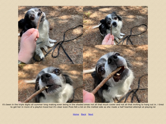 page162 screenshot