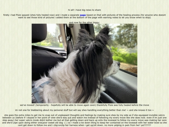 page163 screenshot