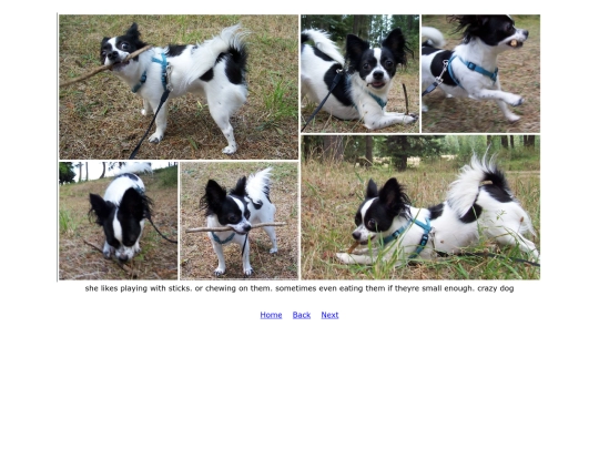 page17 screenshot