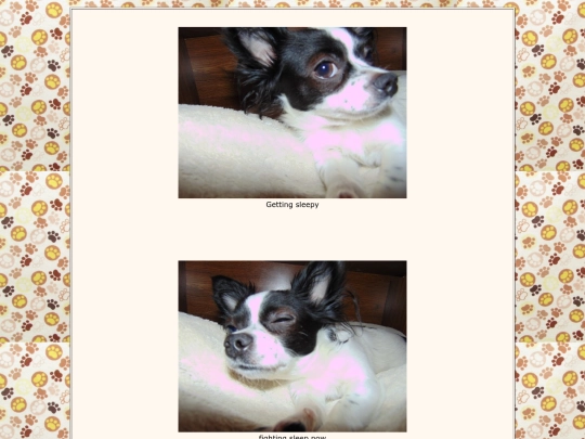 page18 screenshot