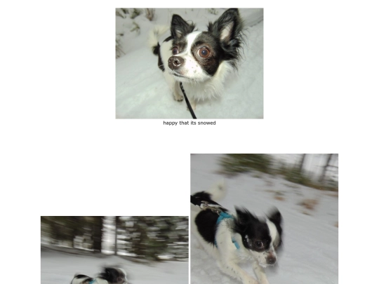page20 screenshot