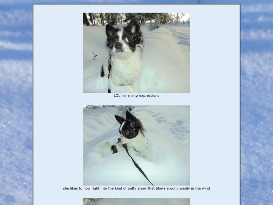 page21 screenshot