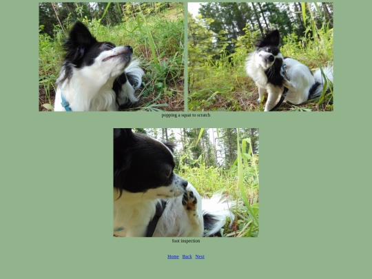 page32 screenshot