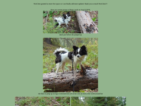 page34 screenshot