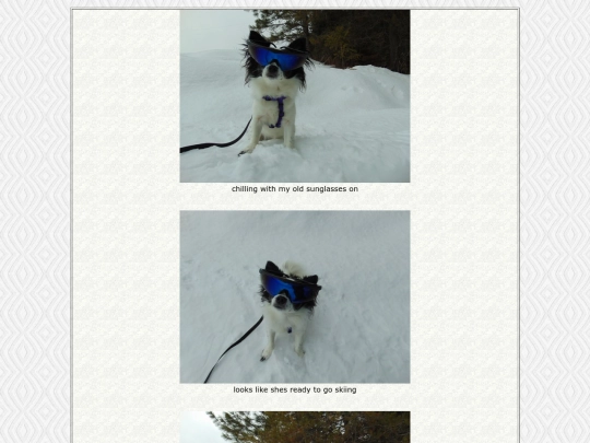 page43 screenshot