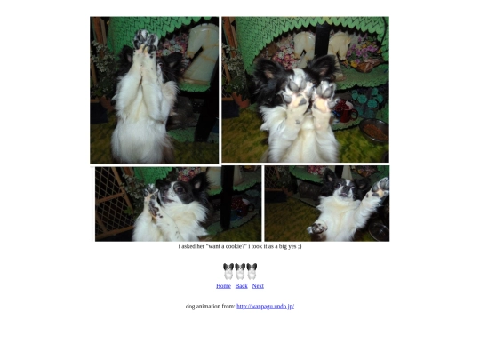 page45 screenshot