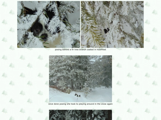 page47 screenshot