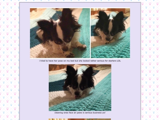 page48 screenshot