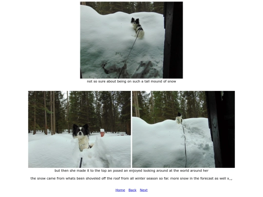 page51 screenshot