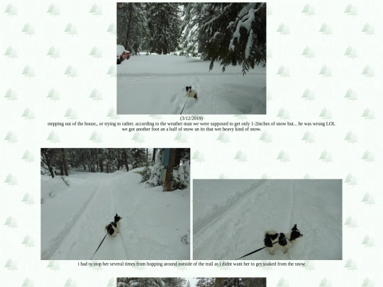 page53 screenshot