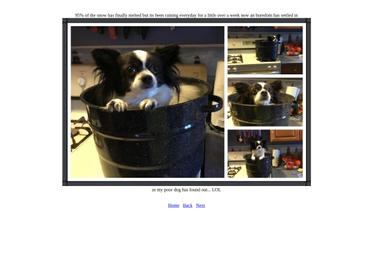 page56 screenshot
