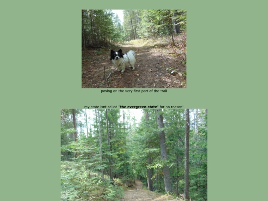 page59 screenshot