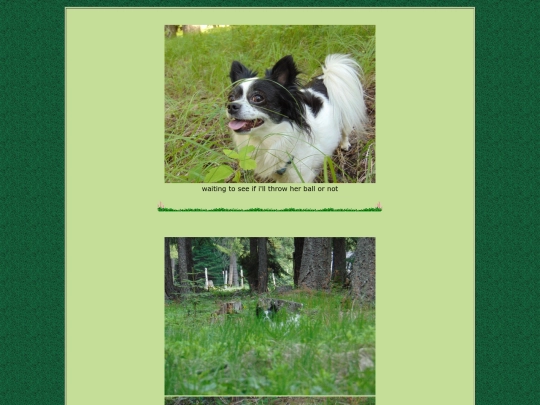 page62 screenshot