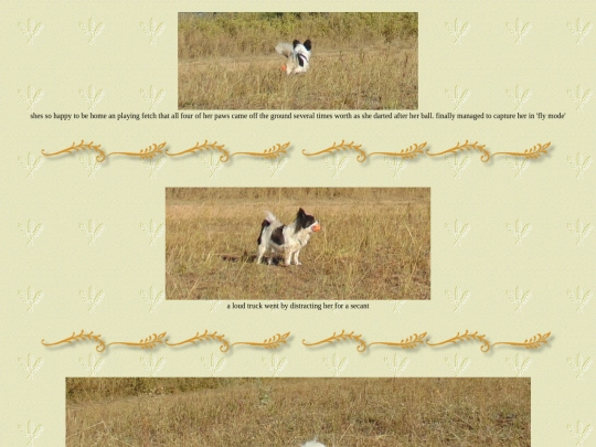 page70 screenshot