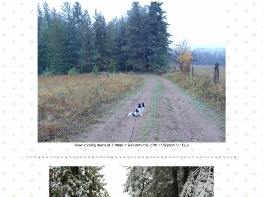 page71 screenshot