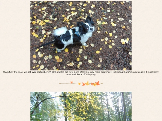 page72 screenshot