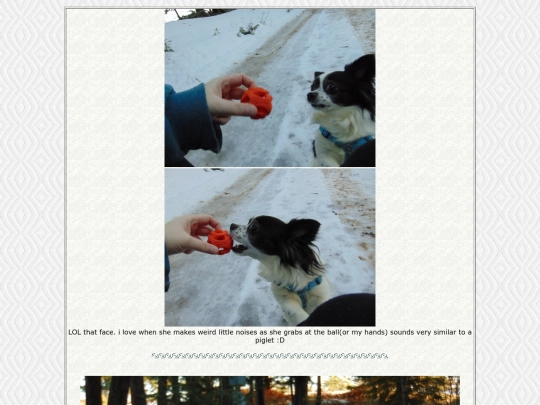 page76 screenshot