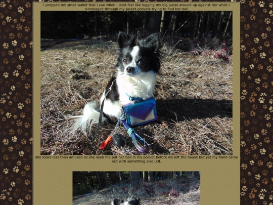 page77 screenshot