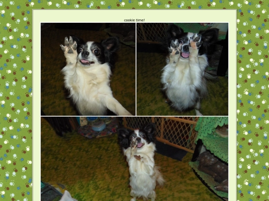 page79 screenshot