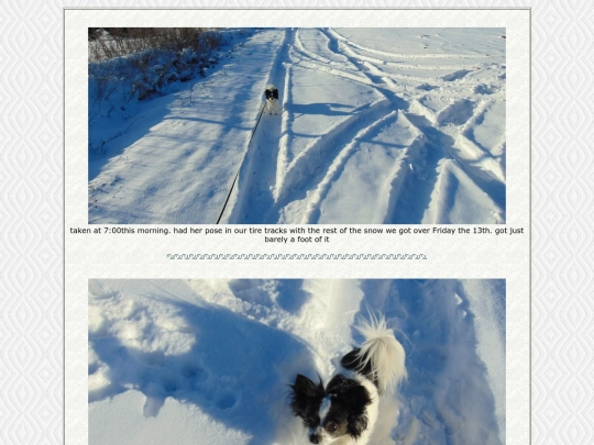 page81 screenshot