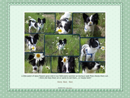 page9 screenshot